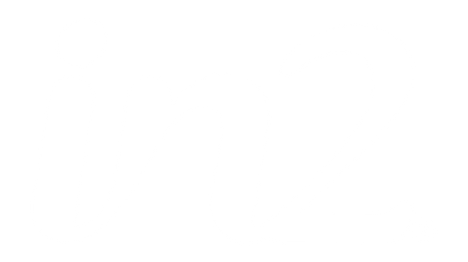 The in2